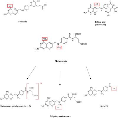 Case Report: Serum methotrexate monitoring by immunoassay: confusion by by-product, confusion by antidote